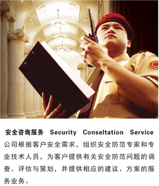 ��ȫ��ѯ����